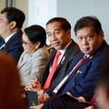 Macam-macam dengan CPO RI? Waspada Airbus-mu Eropa!