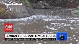 VIDEO: Sungai Arjasa Jember Tercemar Limbah Busa