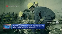 Sederet Tantangan Bos Baru Holding Tambang