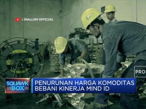 Sederet Tantangan Bos Baru Holding Tambang