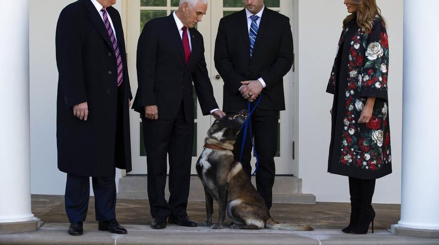 Donald Trump menunjukan sosok anjing Conan yang membantu pengejaran bos ISIS Abu Bakar Al-Baghdadi