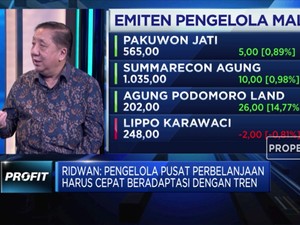 APPBI: Pengelola Pusat Belanja Harus Adaptasi dengan Tren