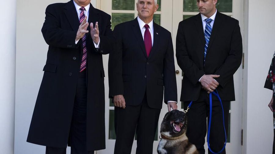 Donald Trump menunjukan sosok anjing Conan yang membantu pengejaran bos ISIS Abu Bakar Al-Baghdadi