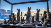 Tim peneliti menemukan mumi hewan-hewan yang tak biasa. Temuan baru tim arkeologi Mesir ini dipamerkan di Saqqara necropolis Giza, Kairo, November 2019. (Photo by Khaled DESOUKI / AFP)