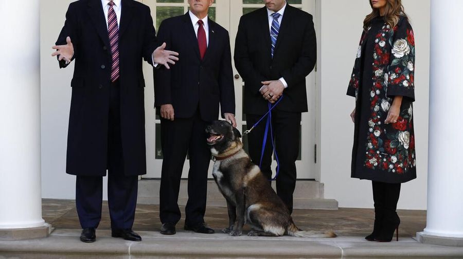Donald Trump menunjukan sosok anjing Conan yang membantu pengejaran bos ISIS Abu Bakar Al-Baghdadi
