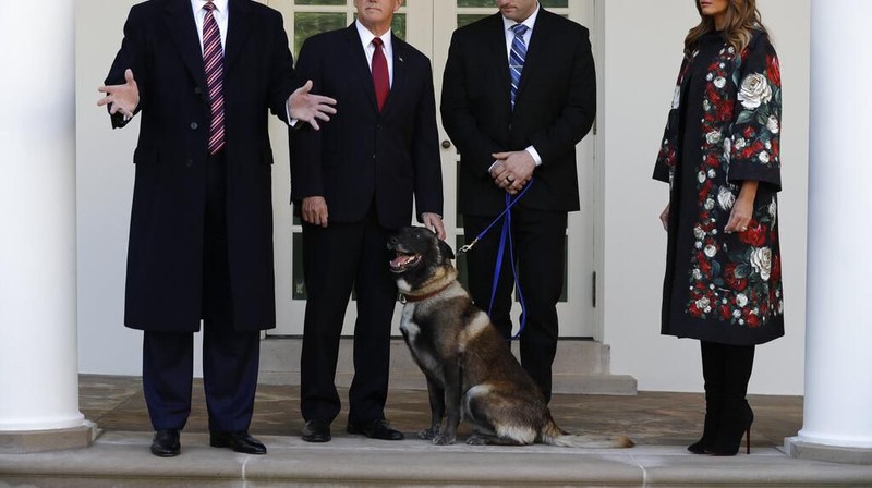 Donald Trump menunjukan sosok anjing Conan yang membantu pengejaran bos ISIS Abu Bakar Al-Baghdadi