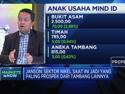 Tantangan Eksternal Bagi Holding BUMN Tambang, MIND ID