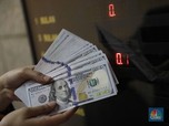 Aramco dan Petronas Dapat Duit Banyak dari IPO, Pertamina?