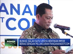 Ini Upaya Buwas Untuk Hentikan Impor Beras