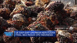 Siap-Siap! Desember, Uni Eropa Umumkan Bea Masuk Biodiesel RI
