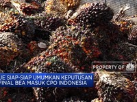 Siap-Siap! Desember, Uni Eropa Umumkan Bea Masuk Biodiesel RI