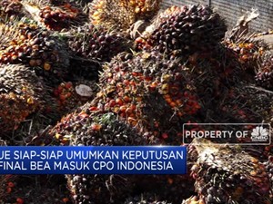 Siap-Siap! Desember, Uni Eropa Umumkan Bea Masuk Biodiesel RI
