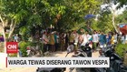 VIDEO: Warga Tewas Diserang Tawon Vespa