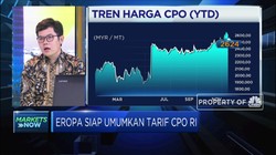 Menakar Dampak Akan Diumumkannya Tarif CPO RI Oleh Uni Eropa
