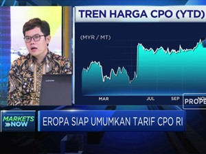 Menakar Dampak Akan Diumumkannya Tarif CPO RI Oleh Uni Eropa