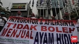 Peternak Rugi Rp2 T Karena Banjir Impor Ayam