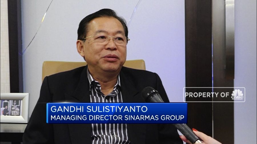 Managing Director Sinarmas Group