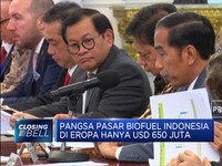 Jokowi: Diskriminasi Sawit Jangan Ganggu Perdagangan ke Eropa