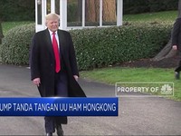 UU HAM Hong Kong Diteken, Gimana Nasib Deal Dagang As-China?