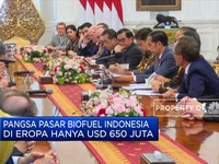 Protes Tarif Sawit, Jokowi Blak-Blakan Ke Eropa Lho