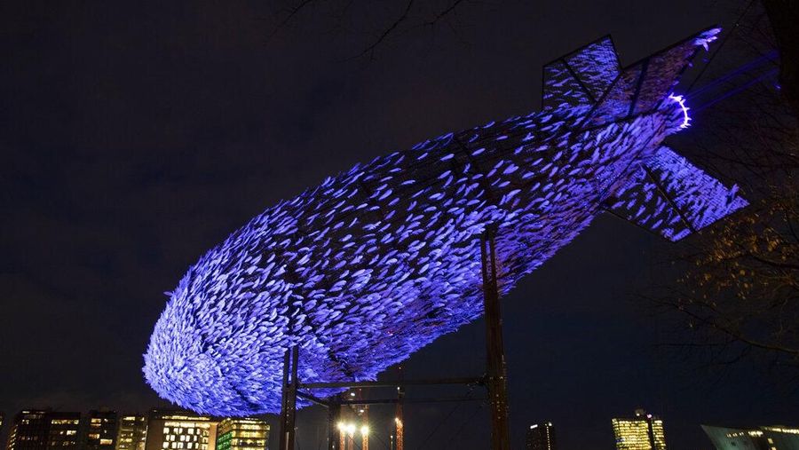 Amsterdam Light Festival diadakan dari 28 November 2019 sampai 19 Januari 2020.