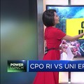 CPO Indonesia VS Uni Eropa
