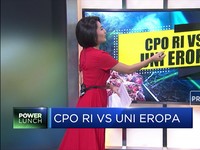 CPO Indonesia VS Uni Eropa