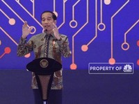 Jokowi Dorong Peran Sektor Swasta Dalam Pembangunan Ekonomi