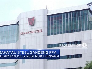 Selamatkan Krakatau steel, Silmy Karim Gandeng PPA