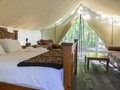 8 Rekomendasi Lokasi 'Glamping' di Jawa Barat