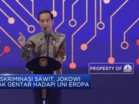 Jokowi: Kita Gunakan Sendiri Kalau Sawit Masih Didiskriminasi