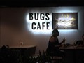 VIDEO: Masakan Ekstrem Kafe Serangga di Kamboja