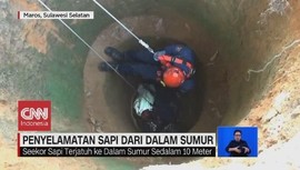VIDEO: Penyelamatan Sapi dari Dalam Sumur