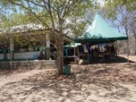 Kondisi Pulau Komodo, Yakin Nih Mau Jadi Wisata Premium?