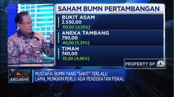 Ini Pandangan Mustafa Abubakar Terhadap BUMN 'Sakit'