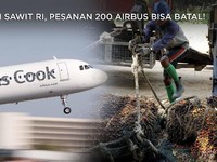 Demi Sawit RI, Pesanan 200 Airbus Bisa Batal Loh!