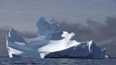Kawasan yang berada dekat dengan Amerika Selatan ini lambat laun terkikis dampak buruk dari pemanasan global. Gletsernya mencair dan ekosistemnya telah diserbu oleh sampah plastik yang dibawa oleh arus. (AFP/Johan Ordonez)