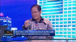 Soal Penempatan Sosok Baru di BUMN, Ini Kata Mustafa Abubakar
