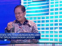 Soal Penempatan Sosok Baru di BUMN, Ini Kata Mustafa Abubakar