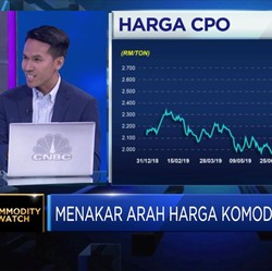 Ada Euforia Penggunaan Biofuel, Harga CPO Diproyeksi Naik