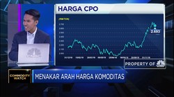Ada Euforia Penggunaan Biofuel, Harga CPO Diproyeksi Naik