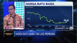 Telisik Penyebab Harga Batu Bara Tak Lagi Membara