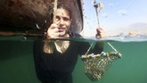 Mutiara yang dimiliki Uni Emirat Arab sendiri memiliki kekhasan dalam segi kualitas dan ketebalan. (GIUSEPPE CACACE / AFP)