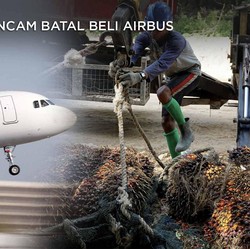 Ini Jawaban Eropa Soal RI Boikot Airbus Karena 'Bully' CPO