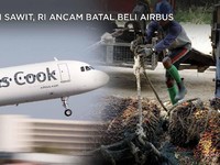 Ini Jawaban Eropa Soal RI Boikot Airbus Karena 'Bully' CPO