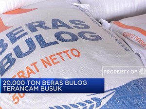 20.000 Ton Beras Bulog Terancam Busuk