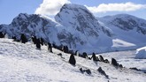 Antartika, tanah petualangan tanpa penguasa,