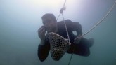 Salah satunya adalah Abdulla Al Suwaidi yang menjaga budaya dan industri mutiara di Uni Emirat Arab ini tetap hidup melalui Suwaidi Pearls. (GIUSEPPE CACACE / AFP)