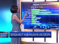Sengkarut Hubungan RI-Uni Eropa
