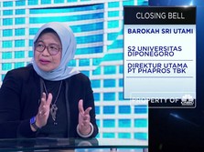 Progres Holding BUMN Farmasi, Ini Kata Phapros